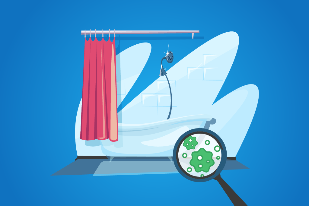What to do if there is a moldy smell in the house?